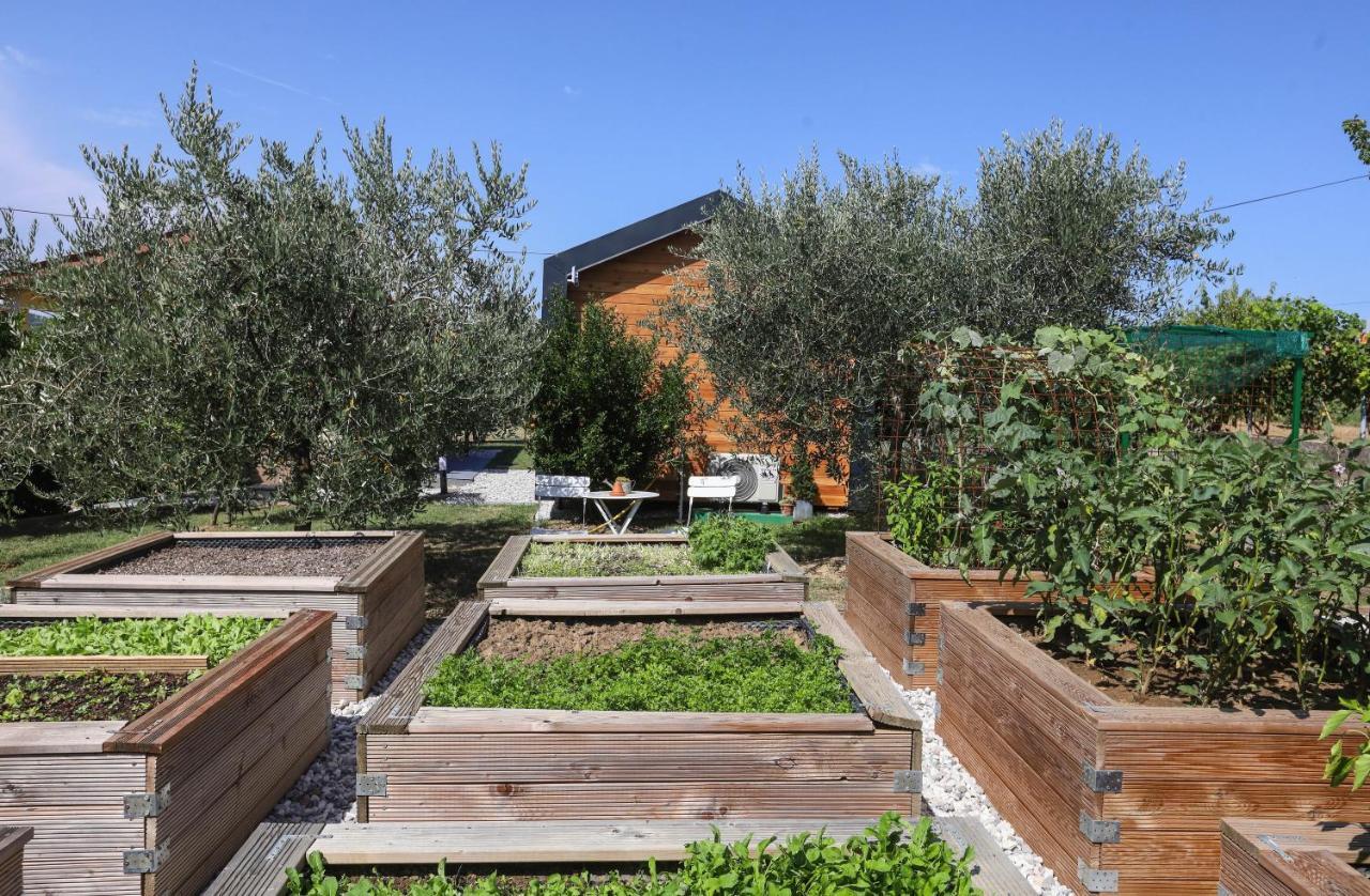 Healthy House Glamping Hotell Koper Eksteriør bilde